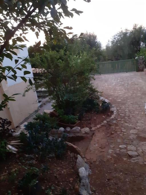 A Modern Farmhouse With Big Garden Trapeza  ภายนอก รูปภาพ