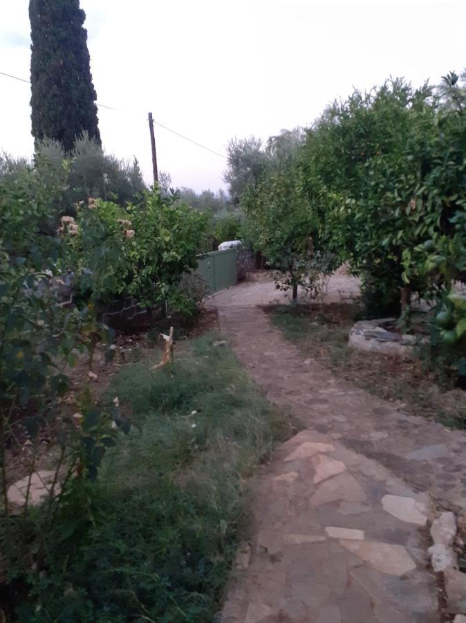 A Modern Farmhouse With Big Garden Trapeza  ภายนอก รูปภาพ