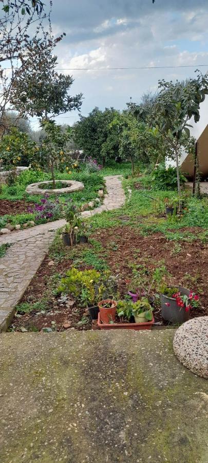 A Modern Farmhouse With Big Garden Trapeza  ภายนอก รูปภาพ