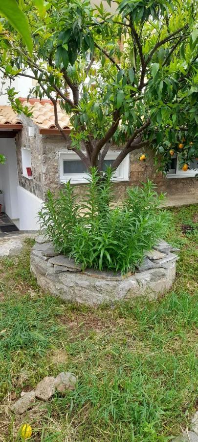 A Modern Farmhouse With Big Garden Trapeza  ภายนอก รูปภาพ