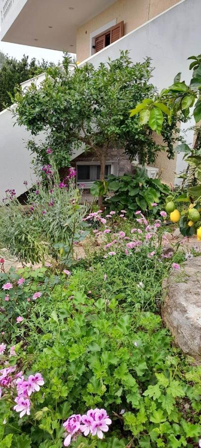 A Modern Farmhouse With Big Garden Trapeza  ภายนอก รูปภาพ